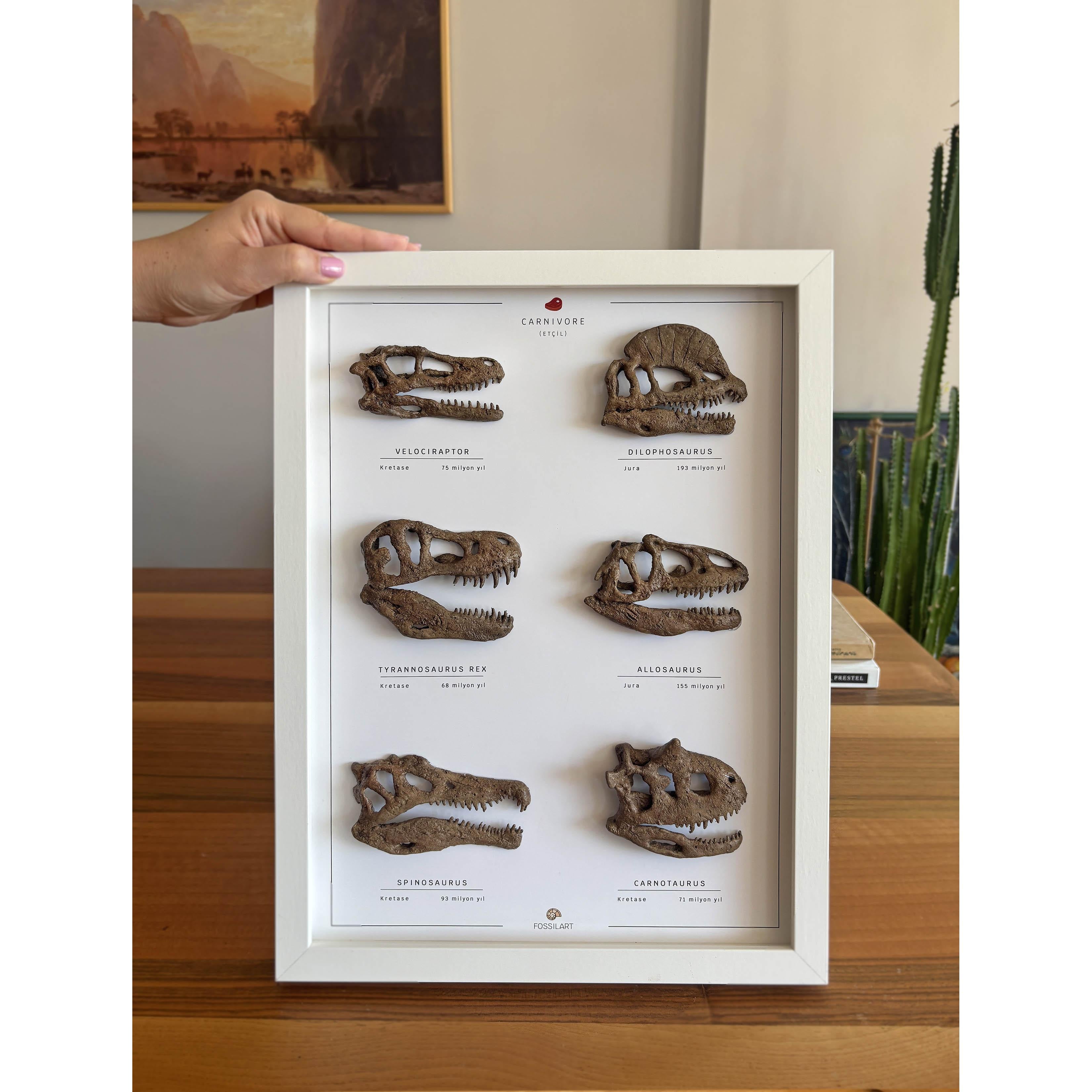 Carnivorous Dinosaurs 3D Frame Design