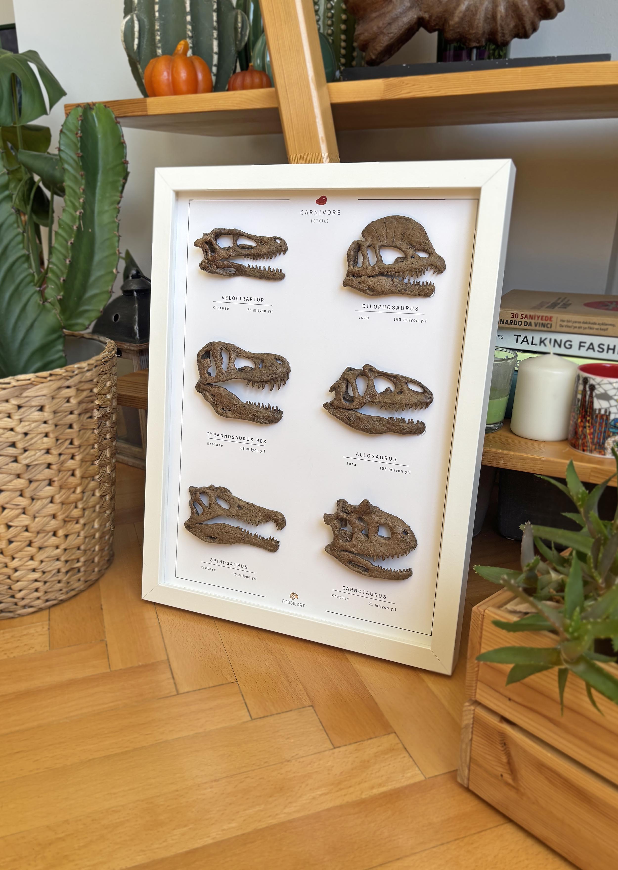 Carnivorous Dinosaurs 3D Frame Design