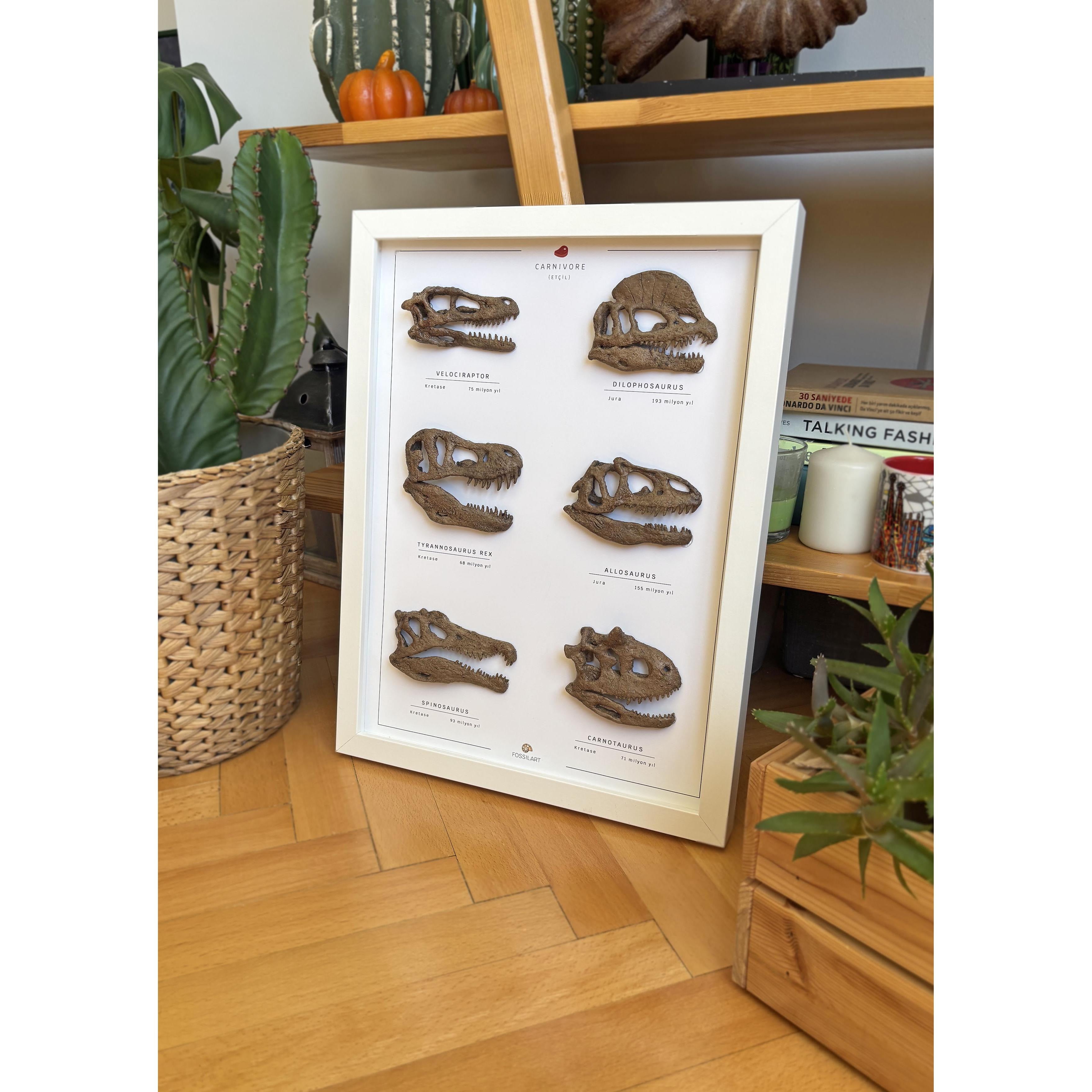 Carnivorous Dinosaurs 3D Frame Design