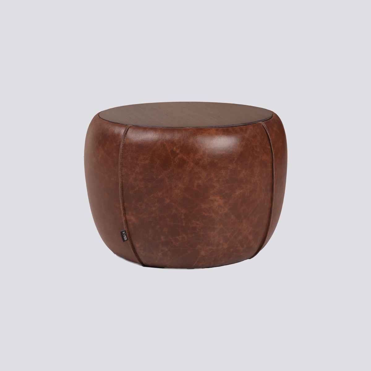 Chestnut Yan Sehpa