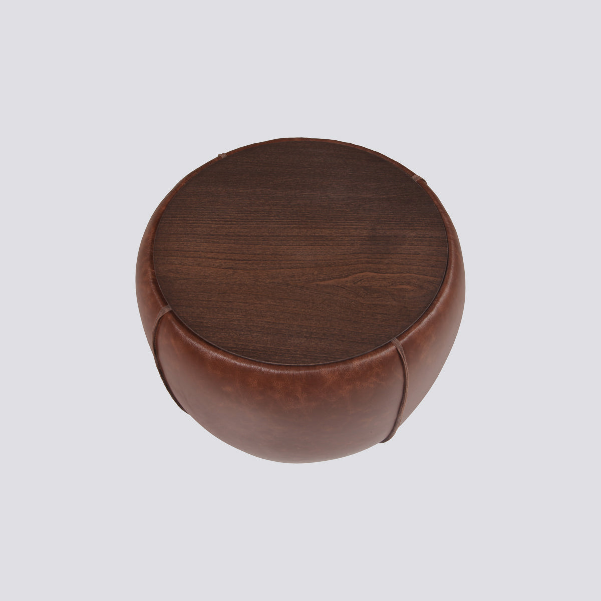 Chestnut Yan Sehpa