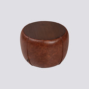 Chestnut Yan Sehpa