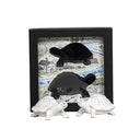 Clever Creatures Turtle Tuzluk Ve Karabiberlik 2 Parça Set Leonardo & Donatello-Juliska Servis-Juliska-NowShopFun