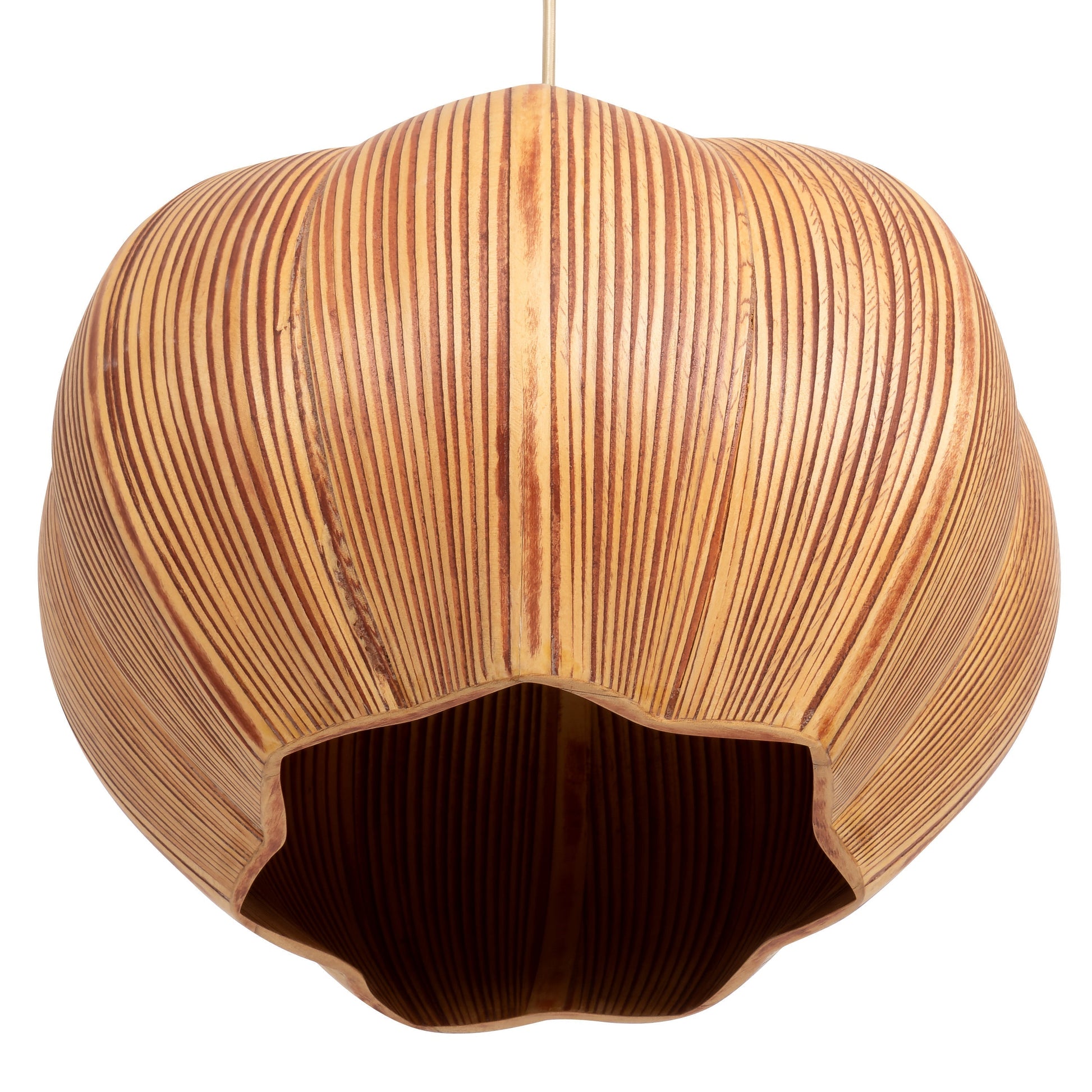 Coconut Tavan Aydınlatması Çiçek Form