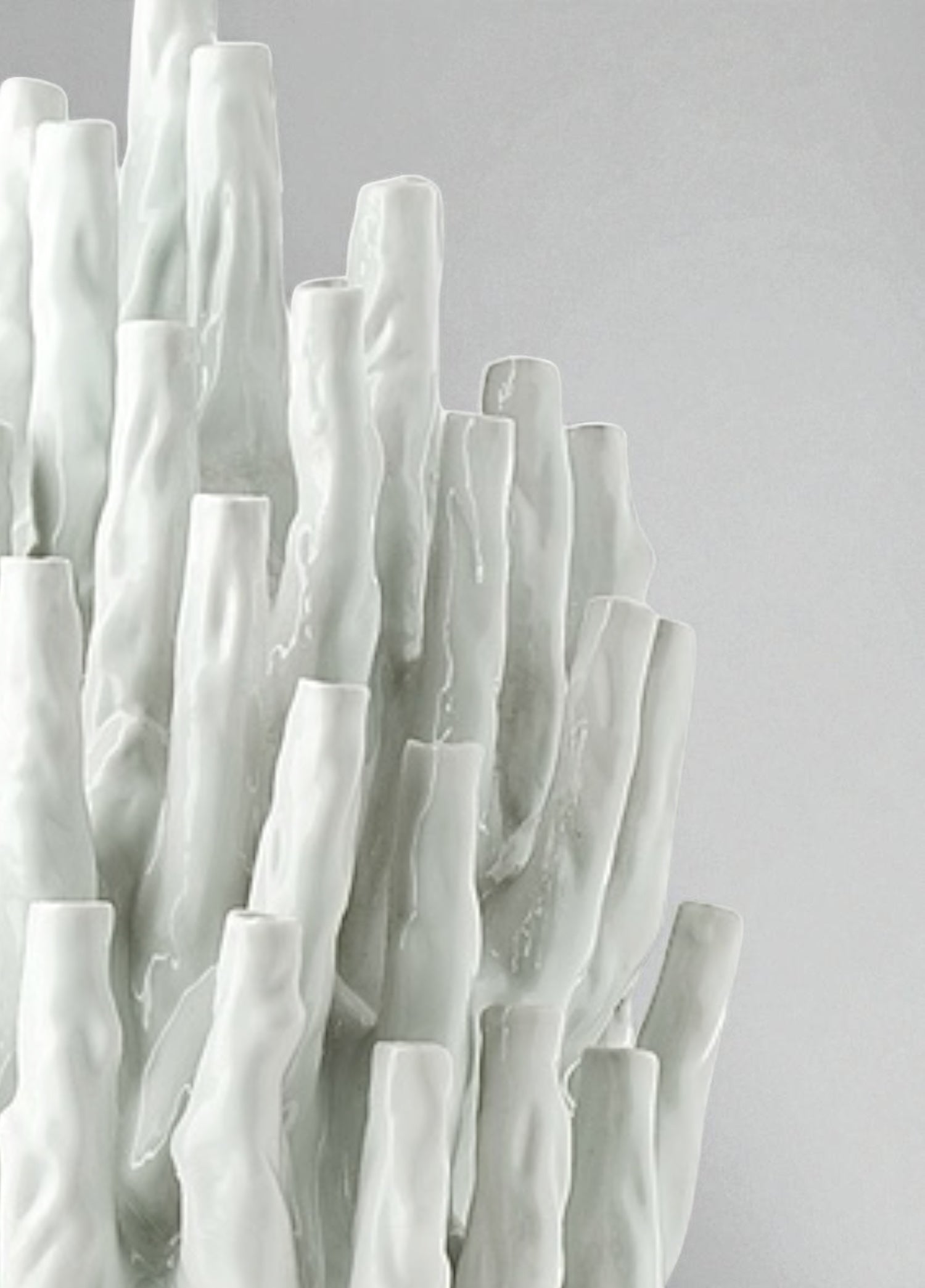 Coral 50 Tulips Vazo