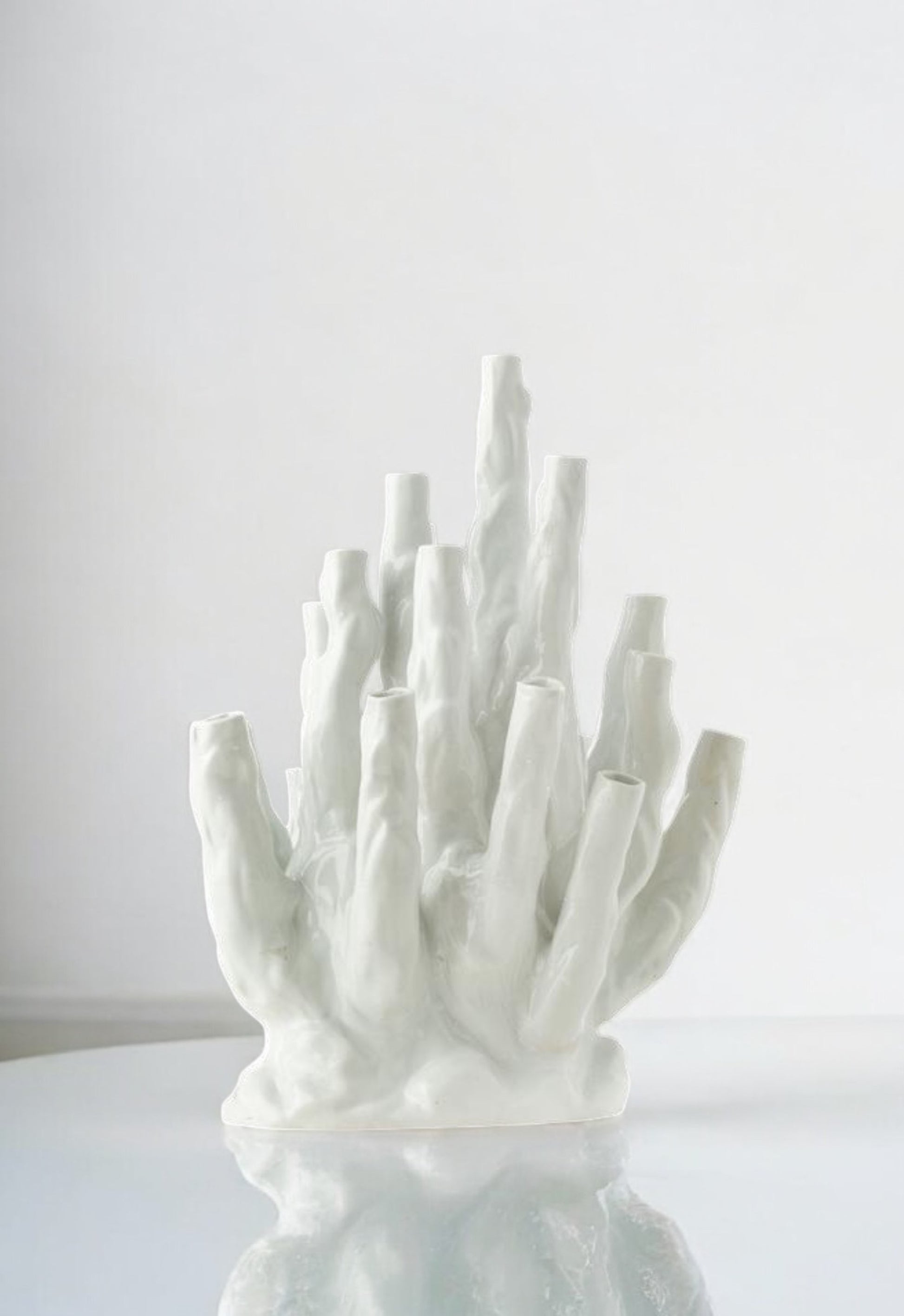 Coral Vazo S