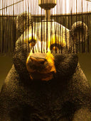 Mamba Bear Siyah Kadife Abajur
