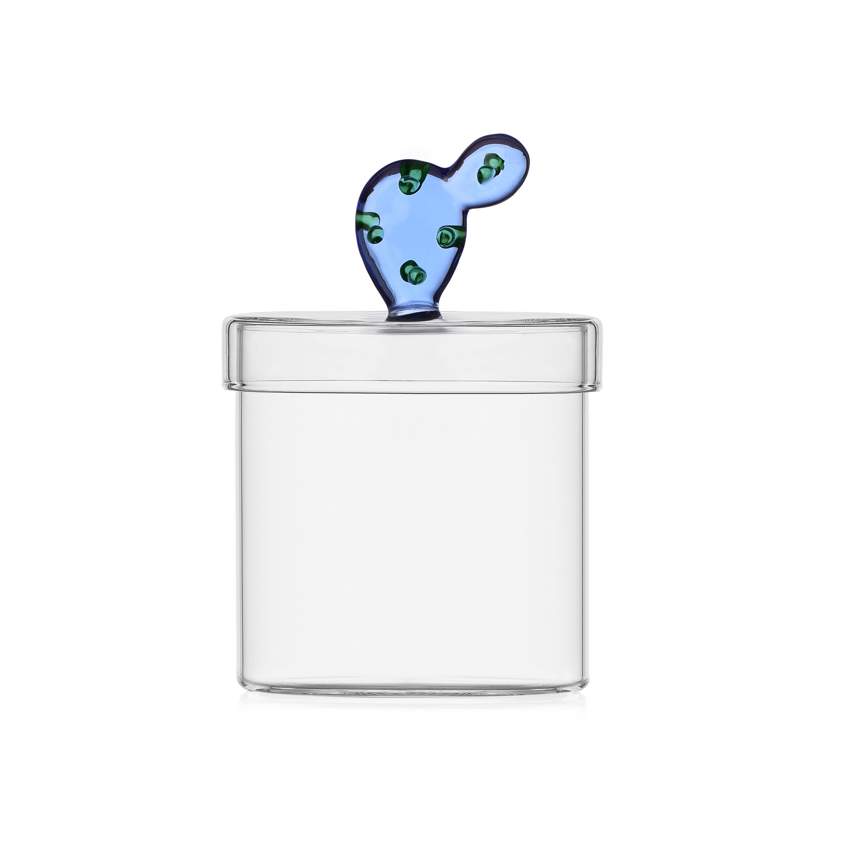 Desert Plants Mavi Kaktüs Figürlü Cam Saklama Kabı (300Ml)