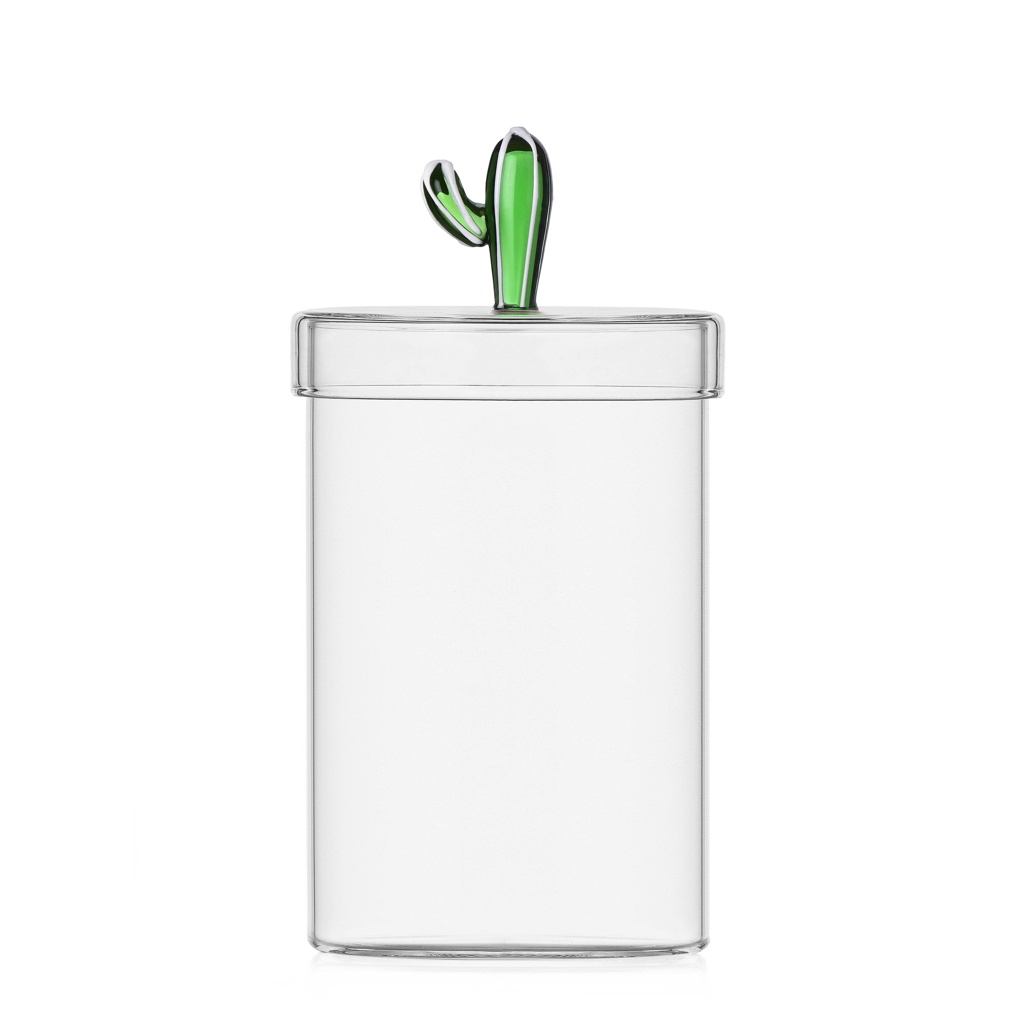 Desert Plants Yeşil Kaktüs Figürlü Cam Saklama Kabı (100Ml)
