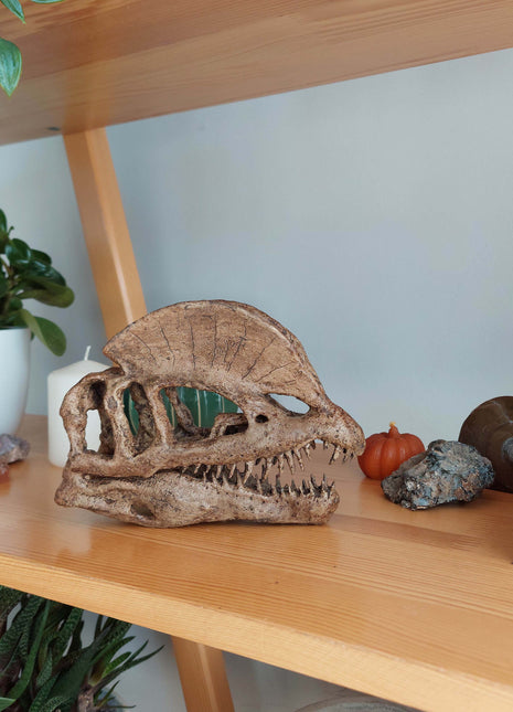 Dilophosaurus Mini Seramik Heykel-Heykel-The Fossil Art-NowShopFun