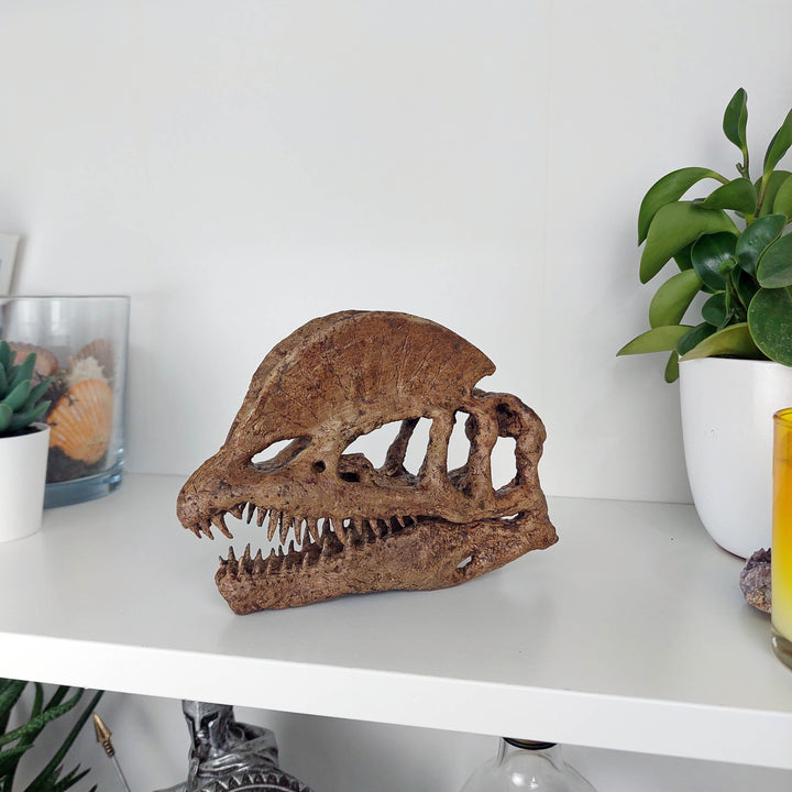 Dilophosaurus Mini Seramik Heykel-Heykel-The Fossil Art-NowShopFun