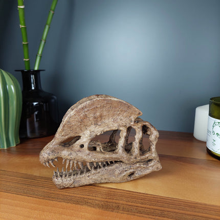 Dilophosaurus Mini Seramik Heykel-Heykel-The Fossil Art-NowShopFun