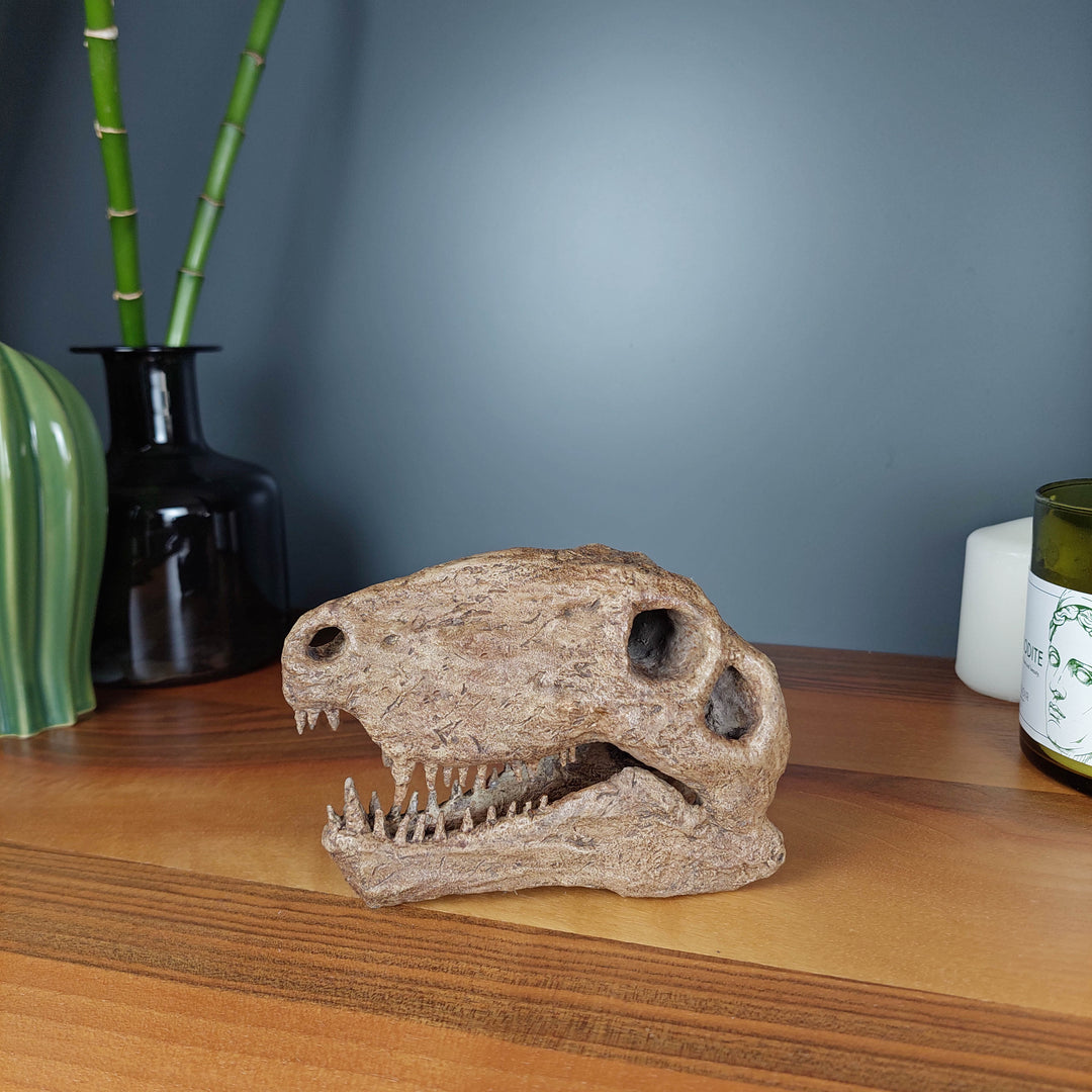 Dimetrodon Mini Seramik Heykel-Heykel-The Fossil Art-NowShopFun