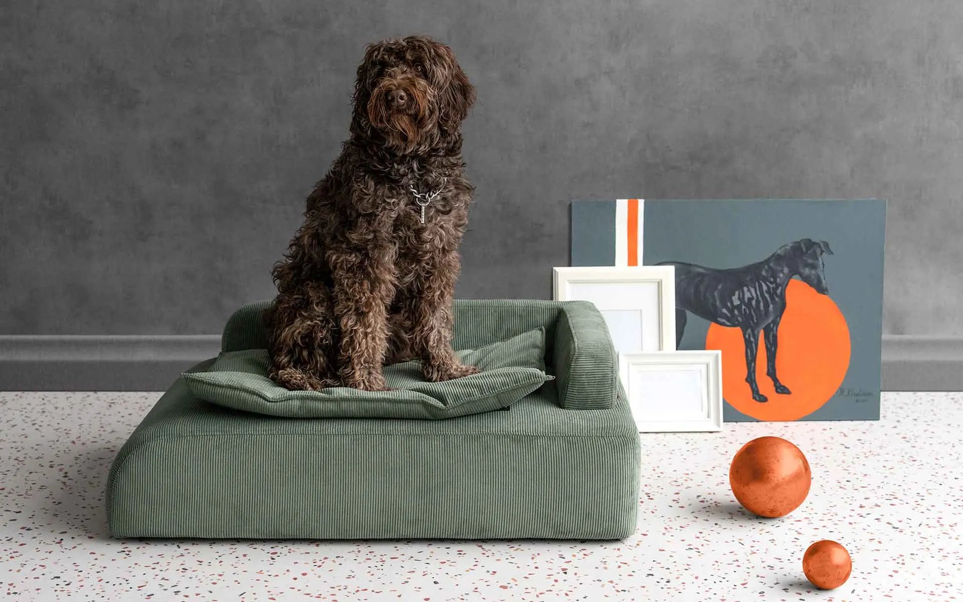 Dottie Pet Berjeri