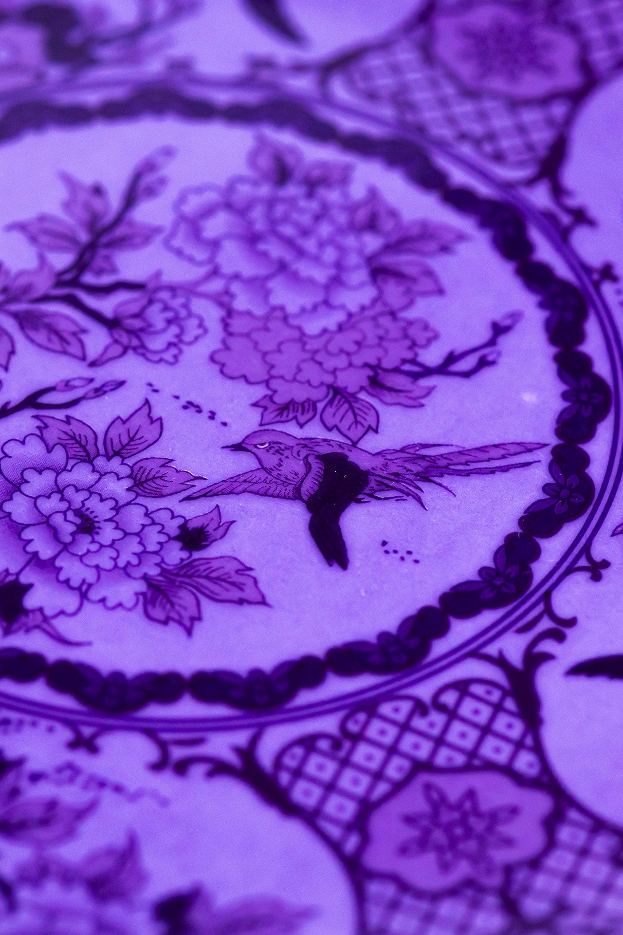 Eternal Lavender Dusk Pasta Tabak (2'li Set)