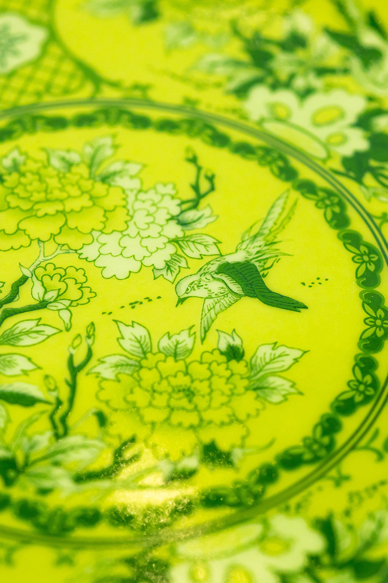 Eternal Olive Jardin Servis Tabak (2'li Set)