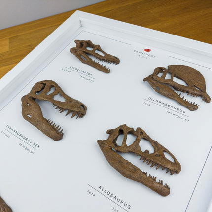 Etobur Dinozorlar 3 Boyutlu Çerçeve Tasarım-Heykel-The Fossil Art-NowShopFun