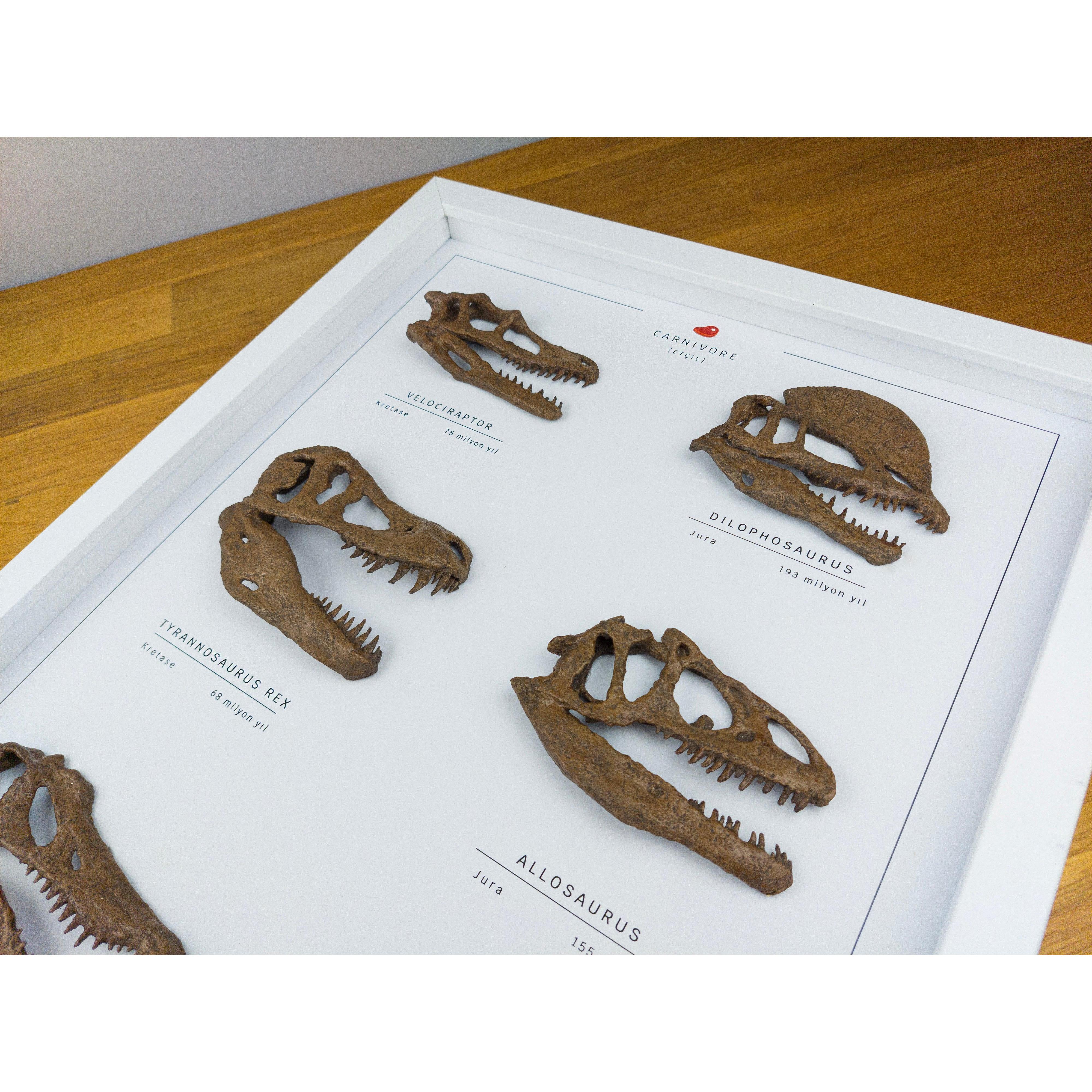 Etobur Dinozorlar 3 Boyutlu Çerçeve Tasarım