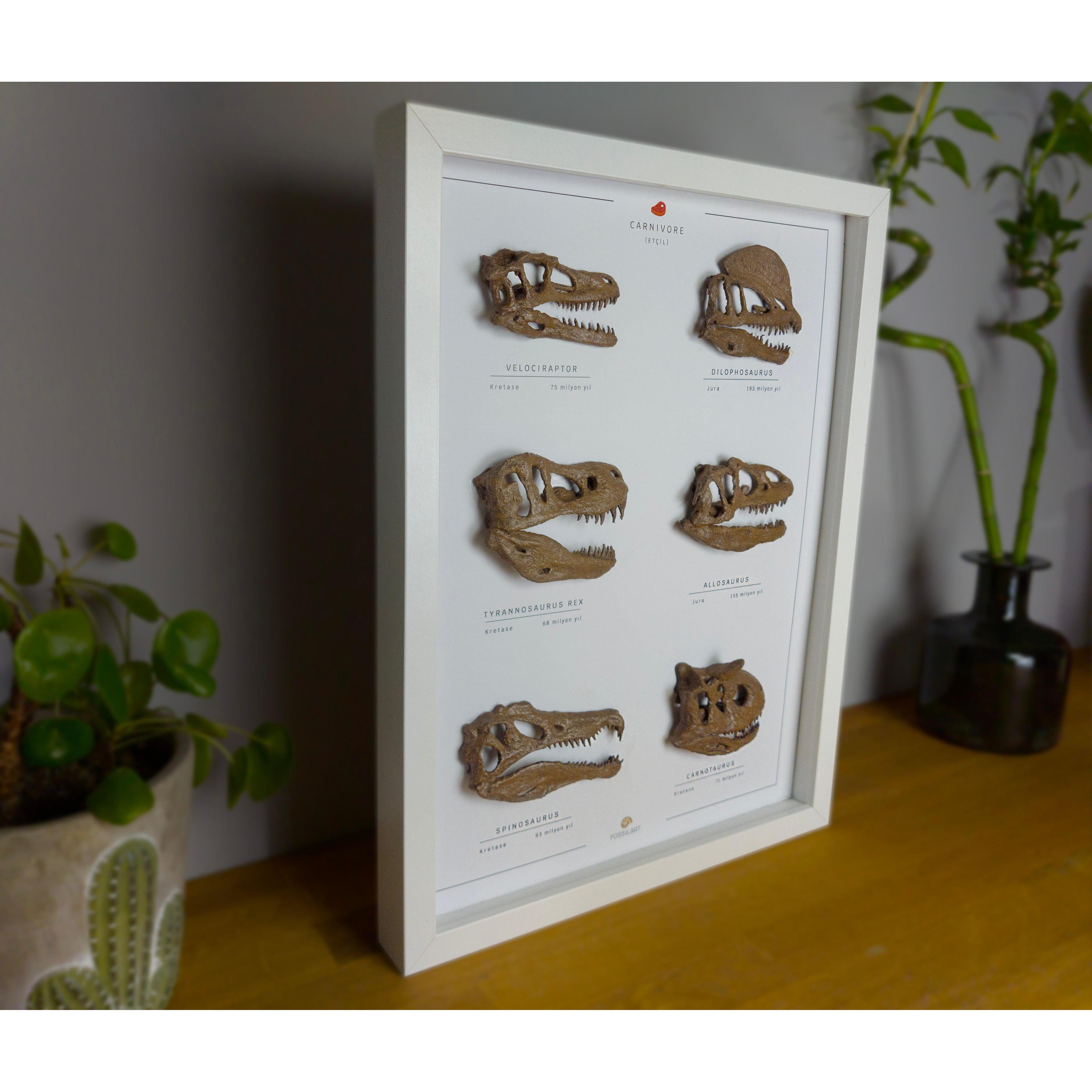 Etobur Dinozorlar 3 Boyutlu Çerçeve Tasarım