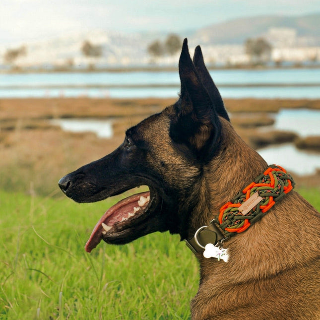 Faroe Orange Paracord Köpek Boyun Tasması-Tasma-Redzill-L-NowShopFun
