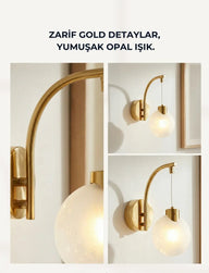 Fiora Midye Cam Duvar Apliği-Aplik-Alldesco-ALTIN-NowShopFun