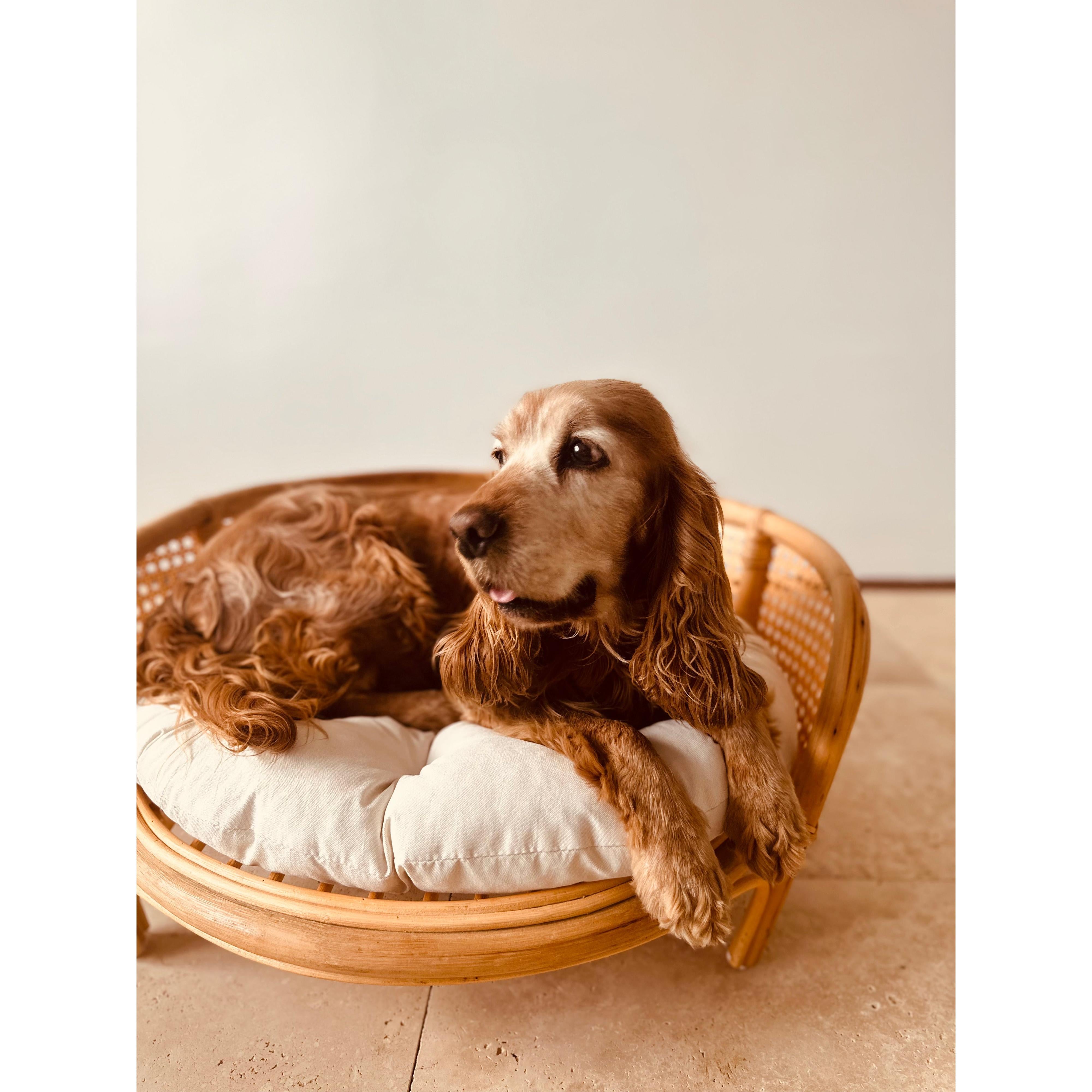 Fleck Rattan Pet Yatağı