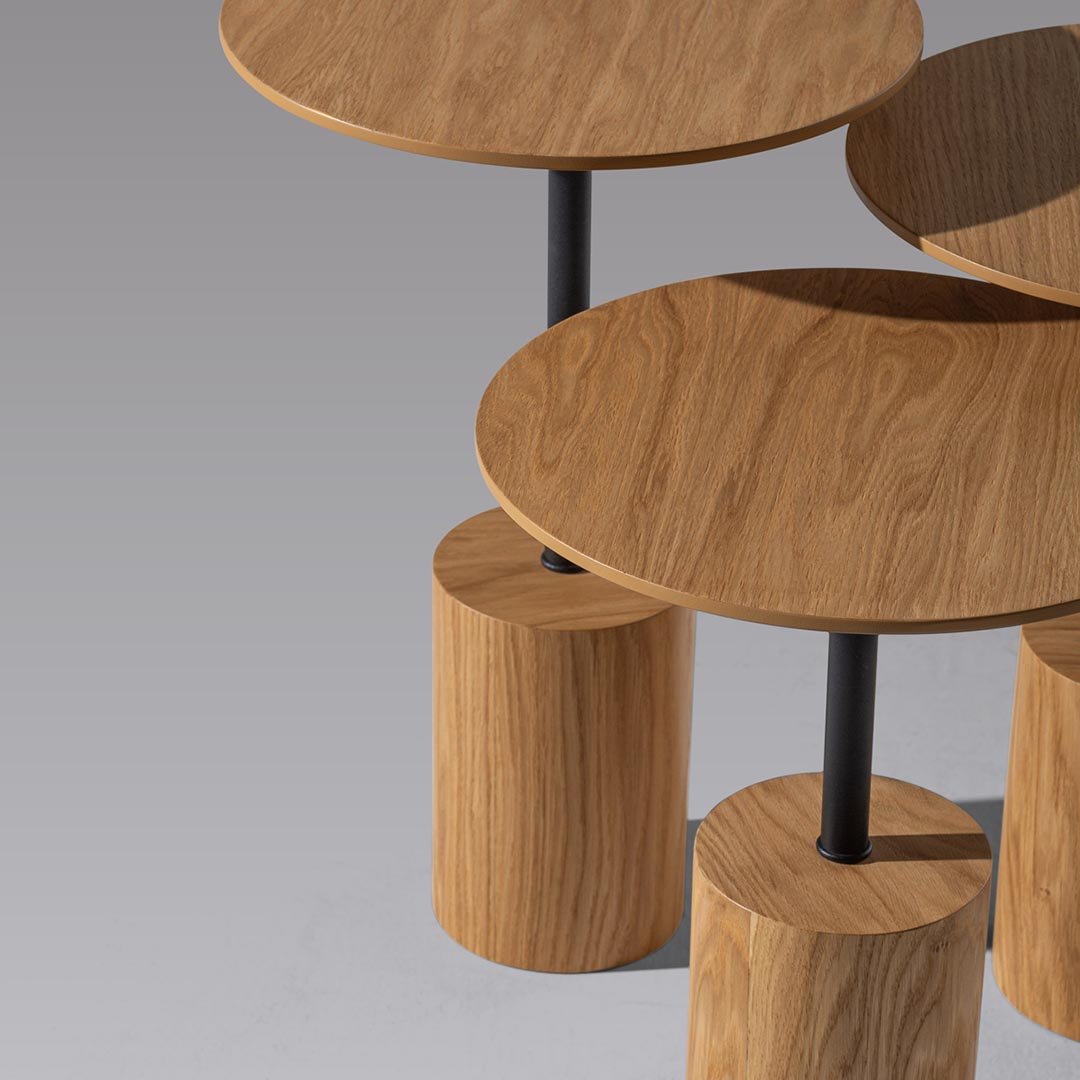 Flint Yan Sehpa Seti