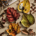 Forest Walk Yaprak Tabak Karışık 4lü Set-Juliska Sofra-Juliska-NowShopFun