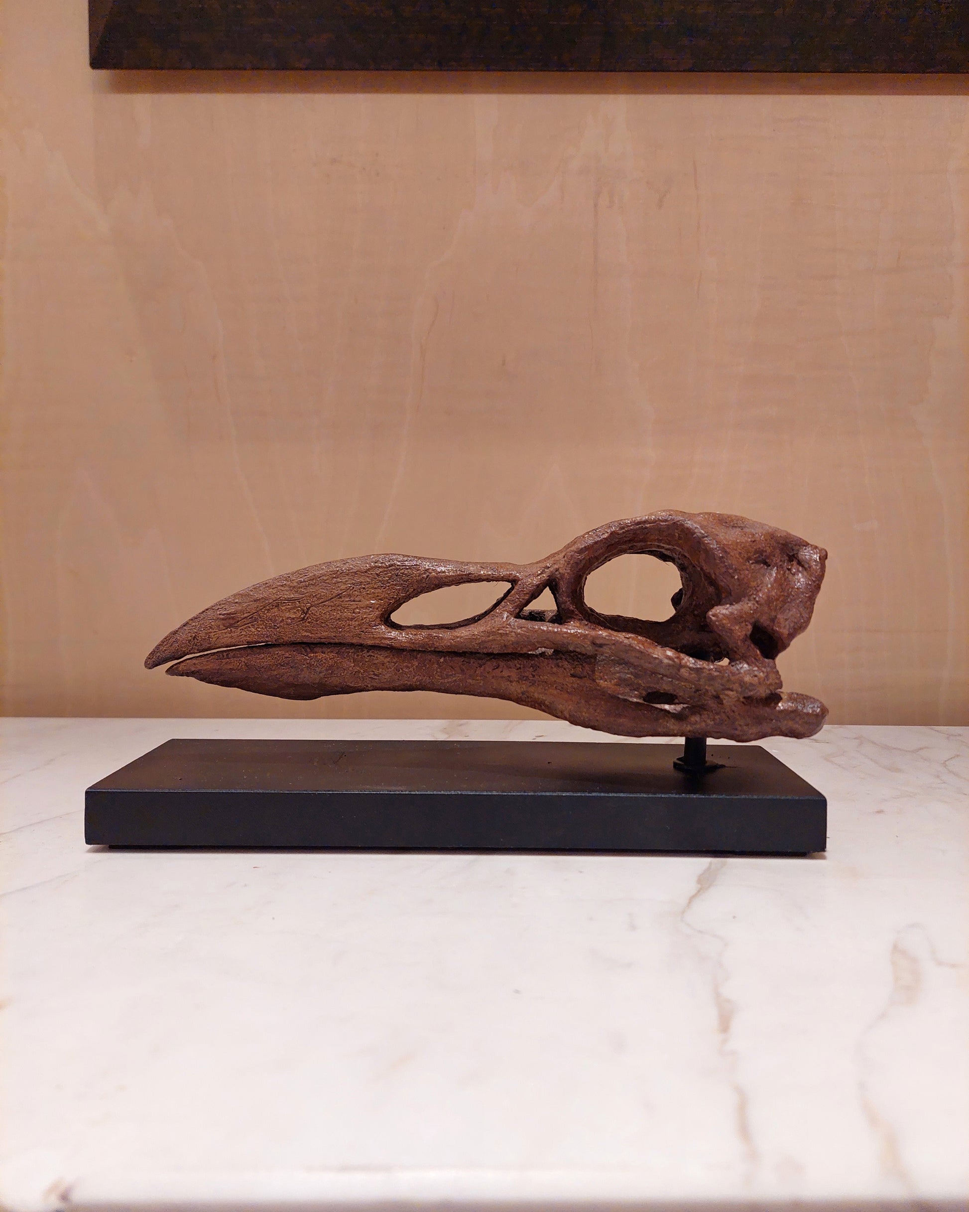 Great Auk Fosil Heykeli