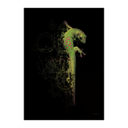 Geko - Fine Art Baskı