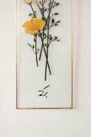 Sarı Haşhaş Çiçeği Tablo