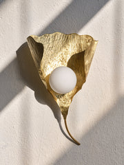 Gingko Aplik