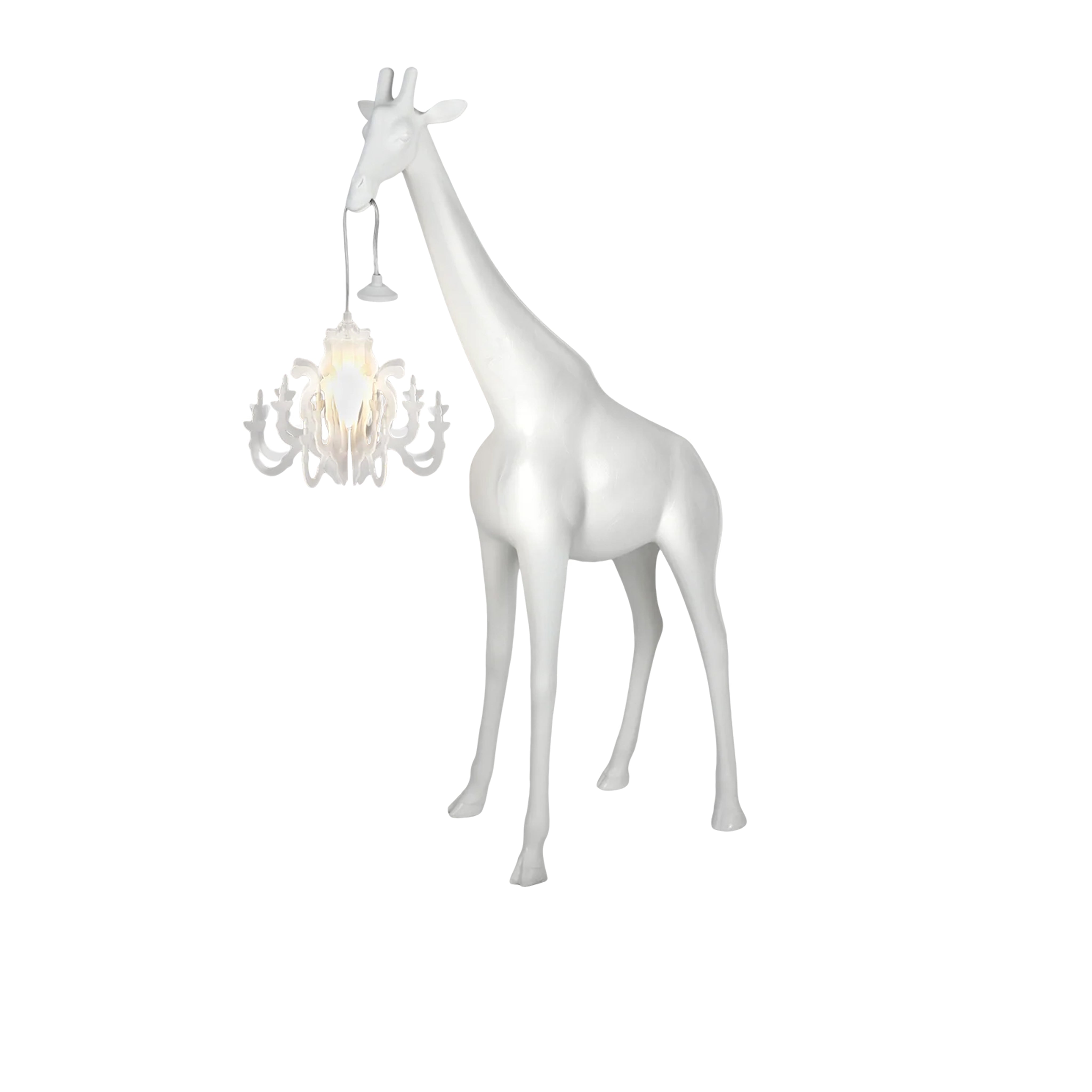 Giraffe In Love Xs Beyaz Masaüstü Aydınlatması