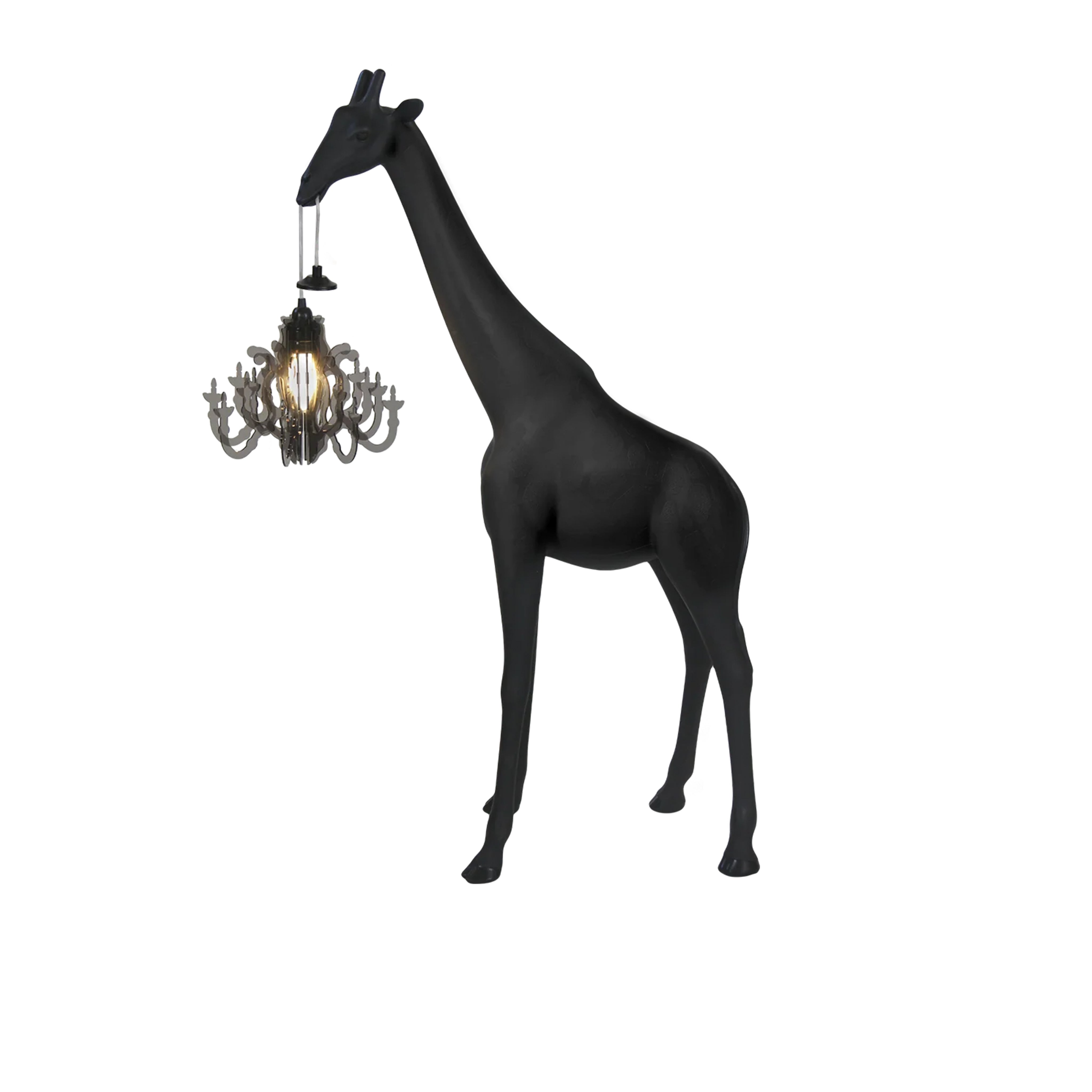 Giraffe In Love Xs Siyah Masaüstü Aydınlatması