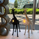 Giraffe In Love Xs Siyah Masaüstü Aydınlatması