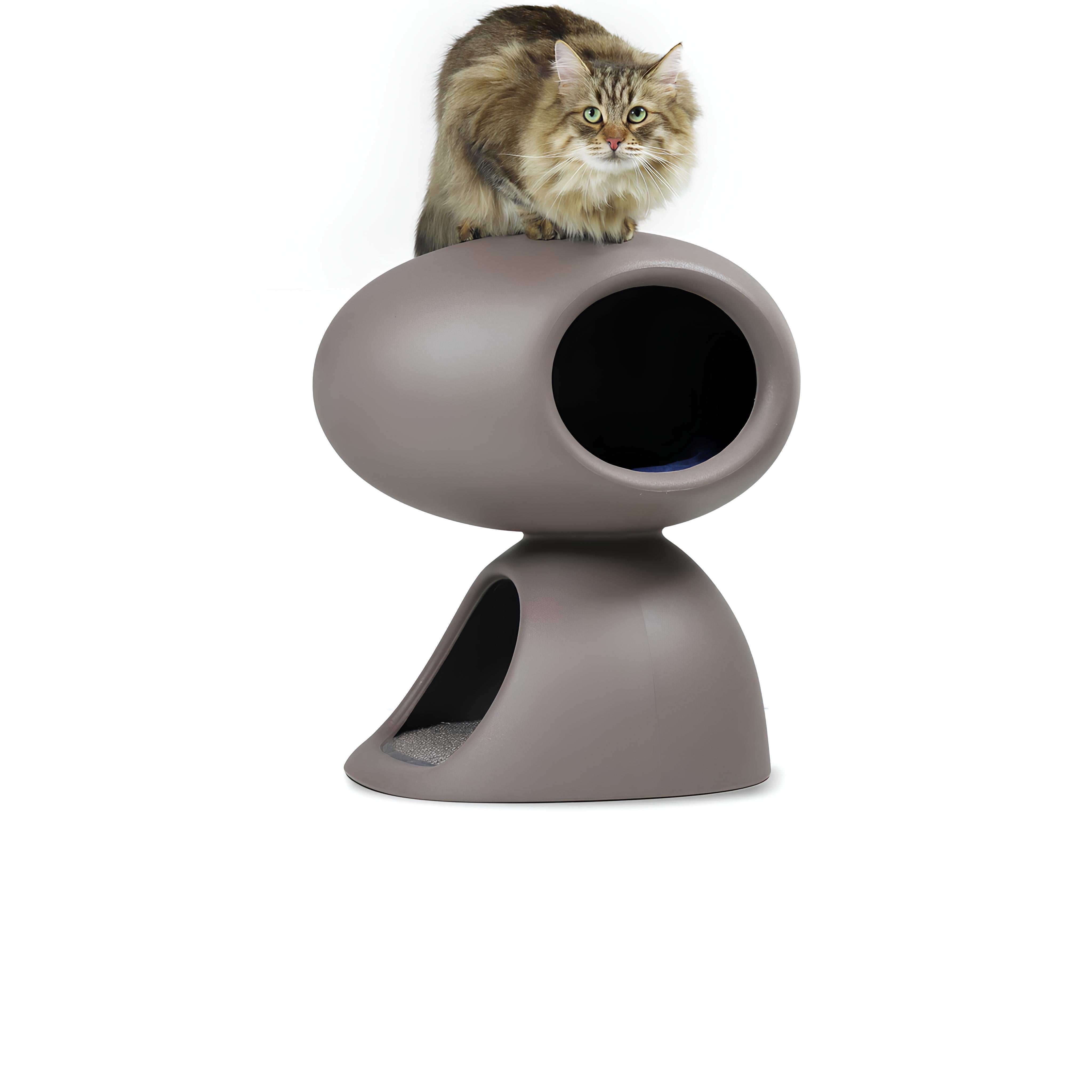 Gri Kedi Evi