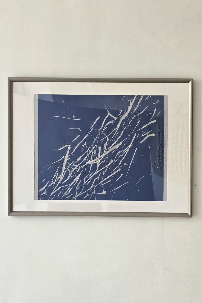 Gümüş Balıklar Resim 1