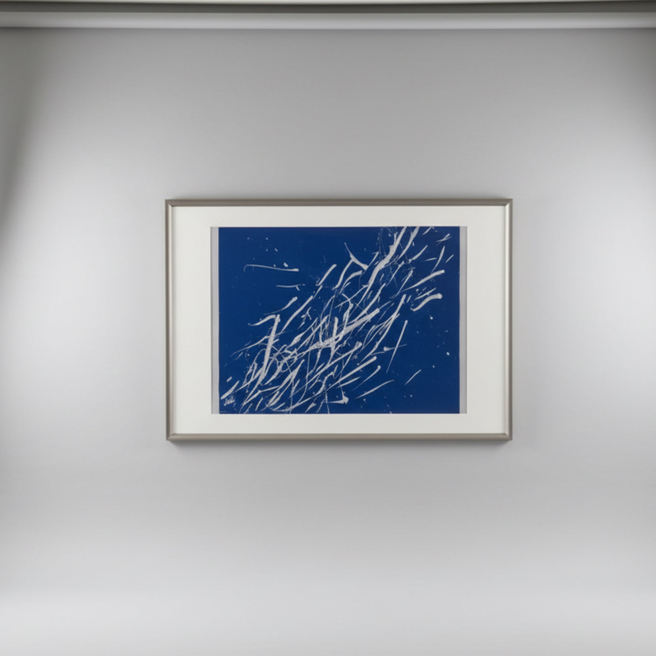 Gümüş Balıklar Resim 1