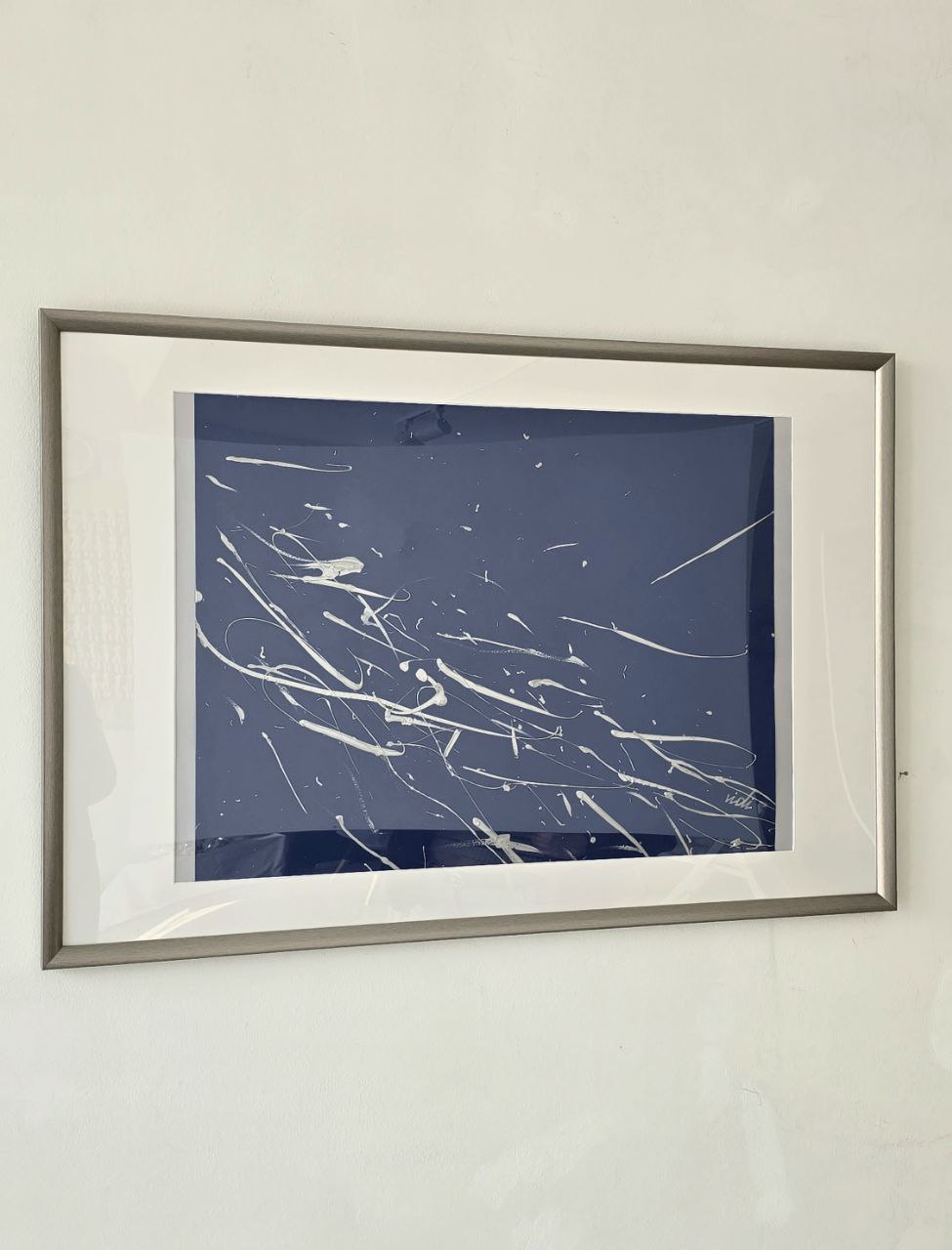 Gümüş Balıklar Resim 2