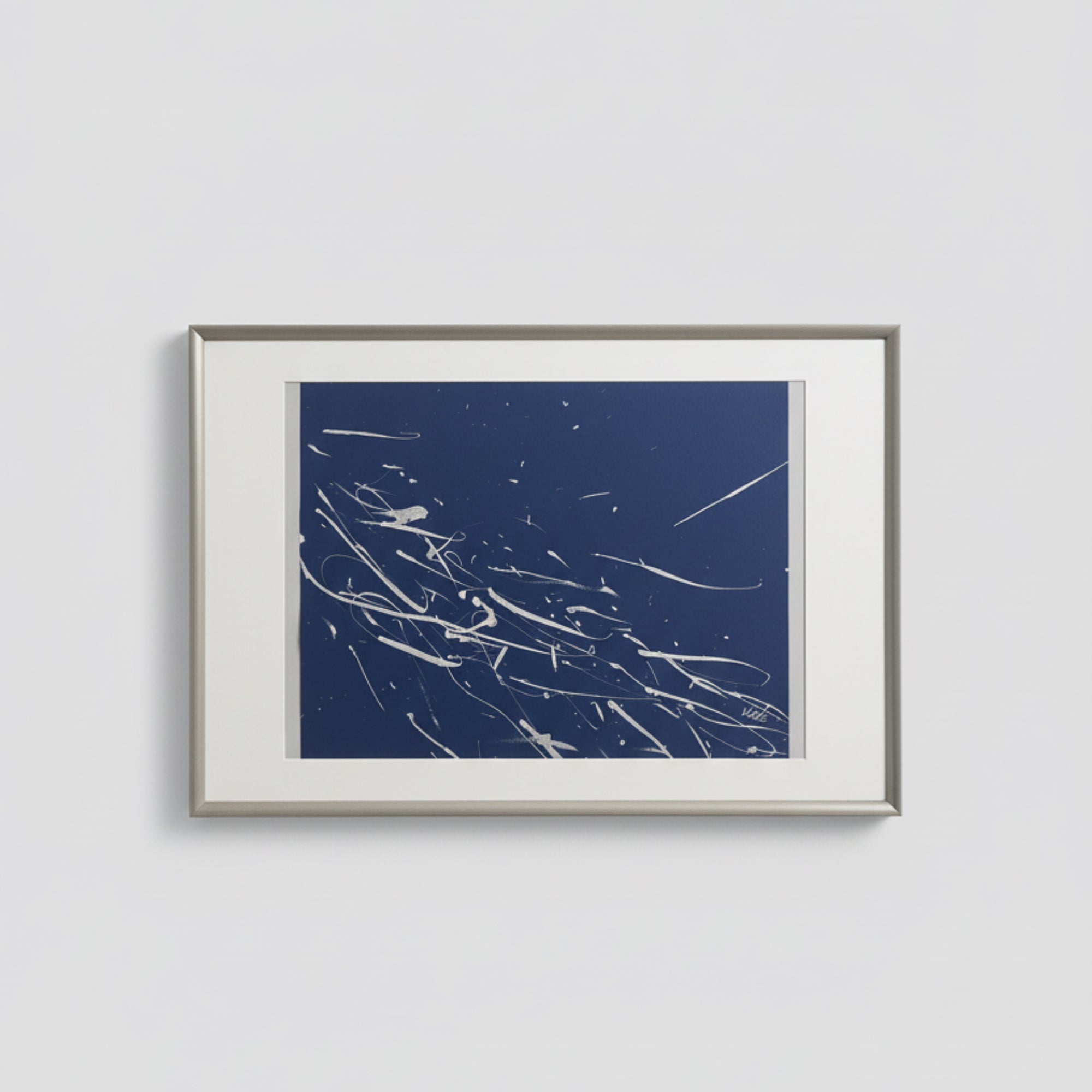 Gümüş Balıklar Resim 2