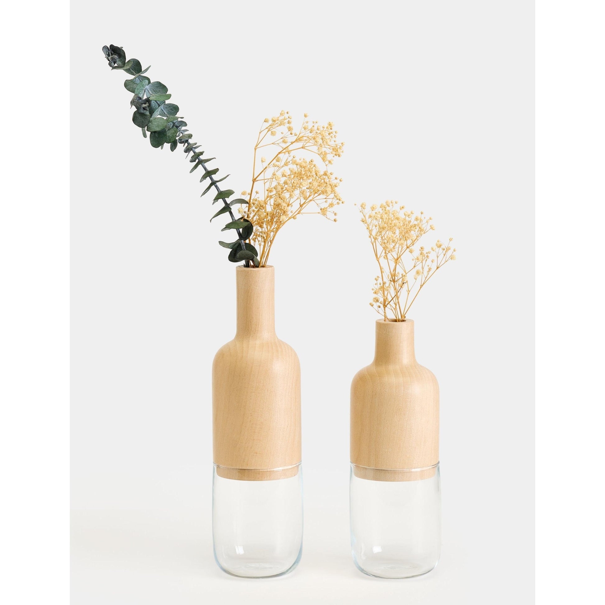 Harmony Minimalist 2'li Vazo Seti - Şeffaf