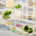 Harriet Shot Bardağı Karışık 4lü Set Çok Renkli-Juliska İçecek & Bar-Juliska-NowShopFun