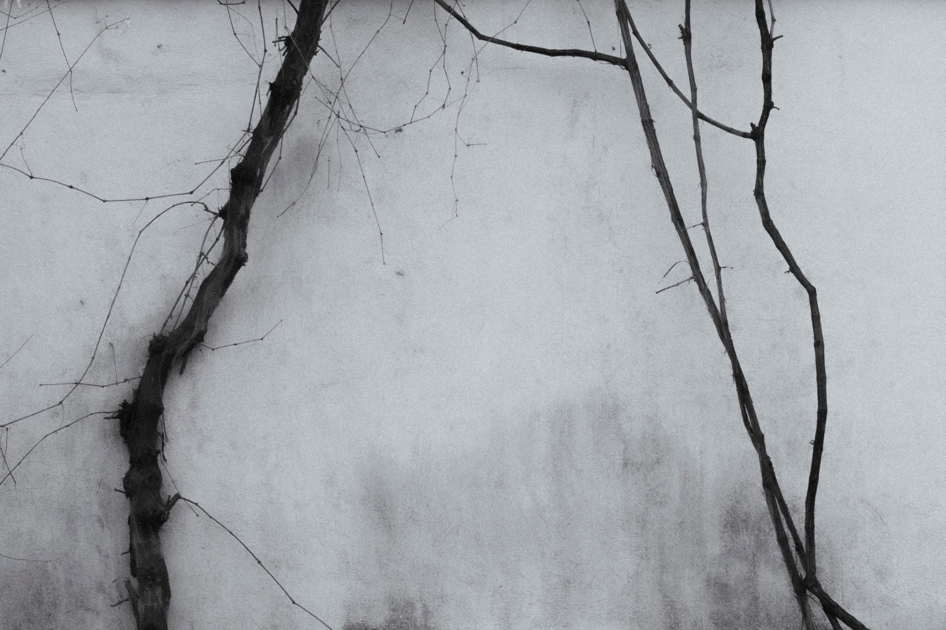 Hatıra Fine Art Fotoğraf Baskı