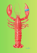 Hazal Türer - Lobster 3' lü Set