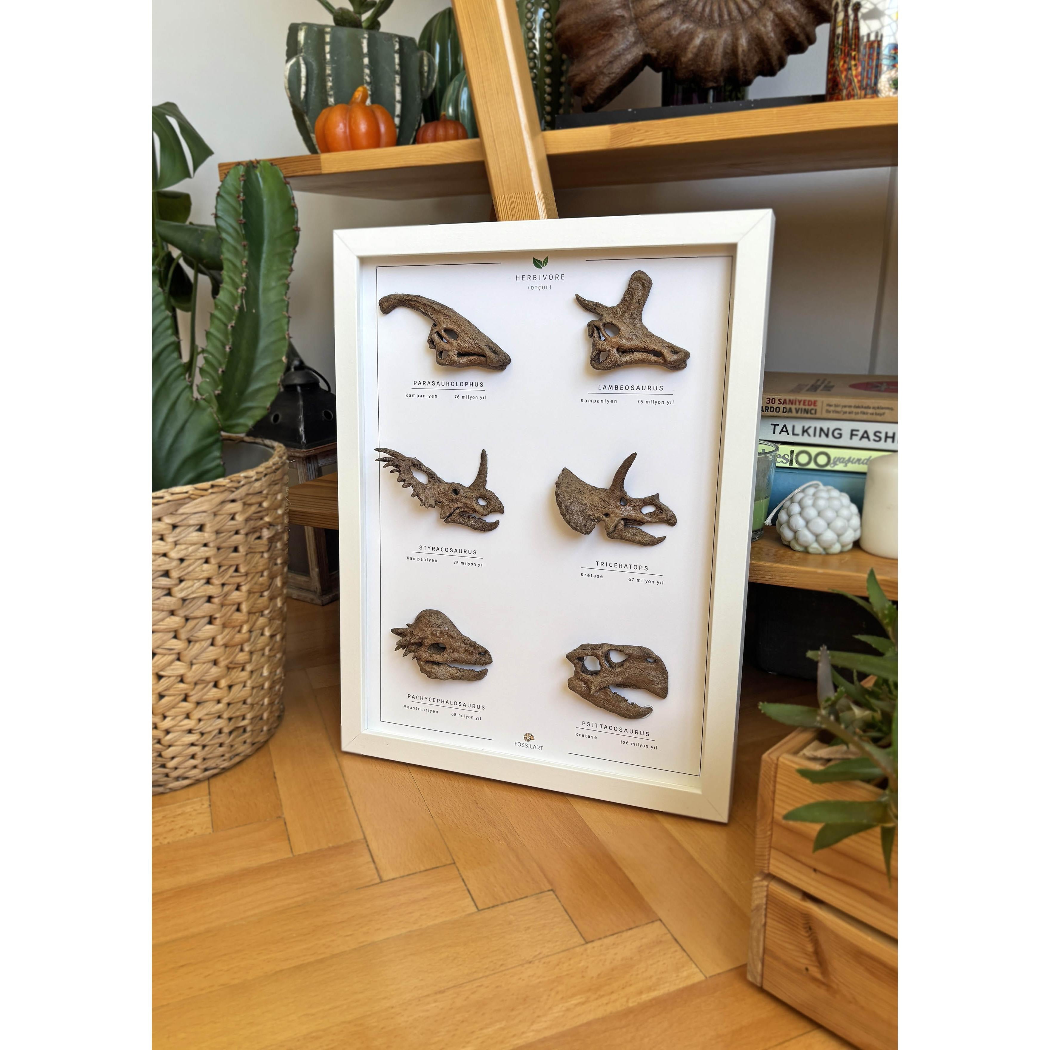 Otobur Dinozorlar 3 Boyutlu Çerçeve Tasarım