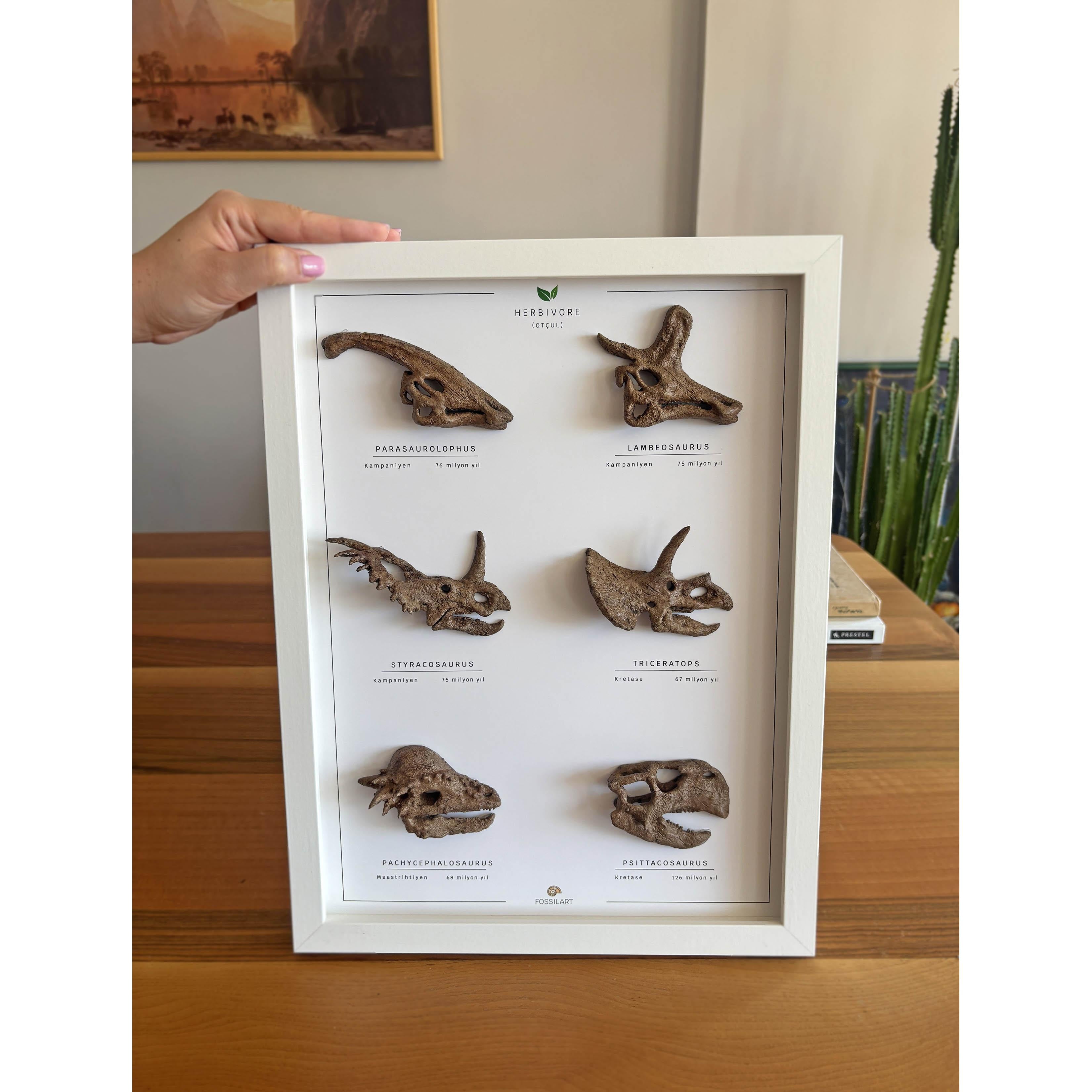 Otobur Dinozorlar 3 Boyutlu Çerçeve Tasarım