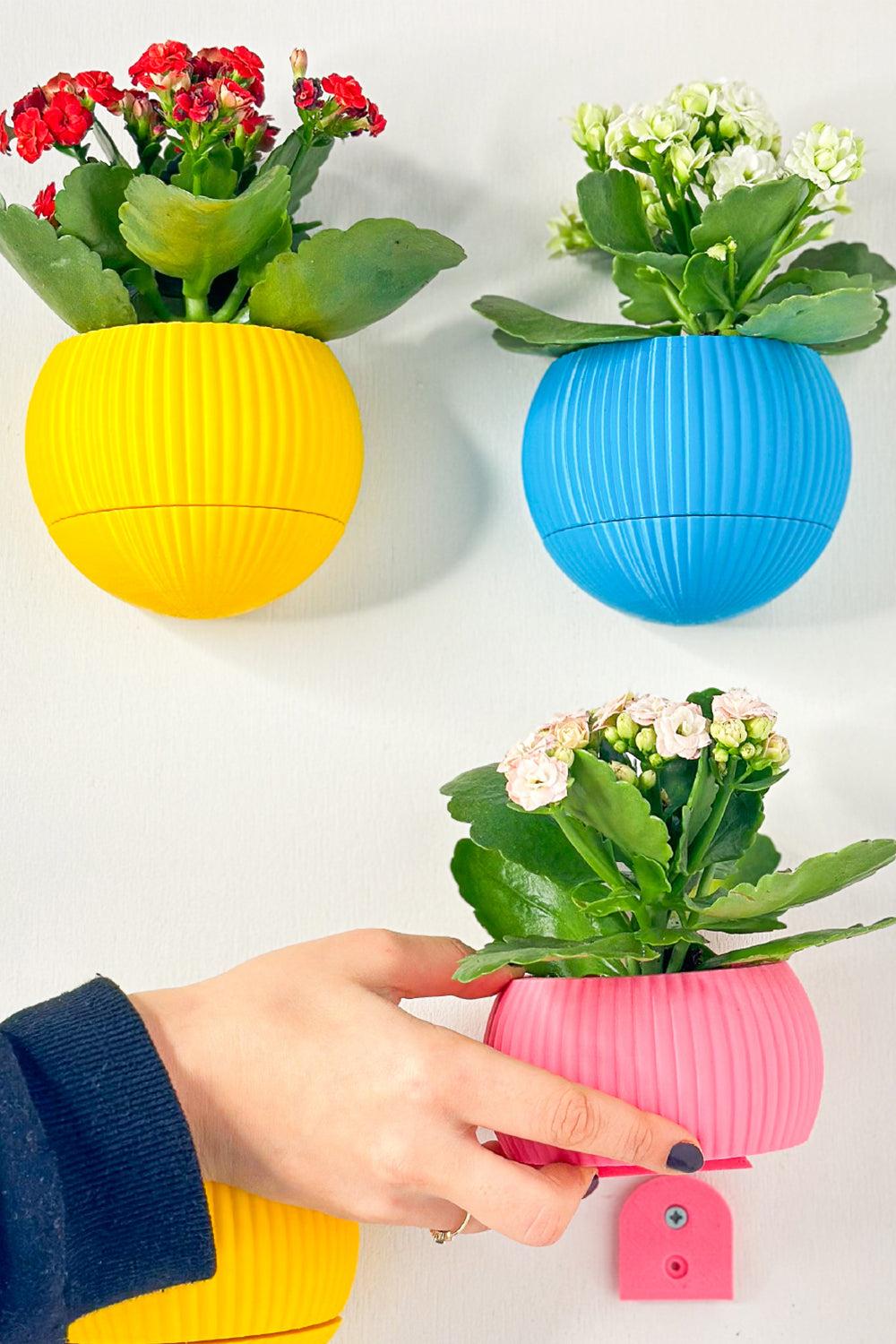 Hue Nest Mini Duvar Saksısı-Saksı-Tou Workshop-mavi-NowShopFun
