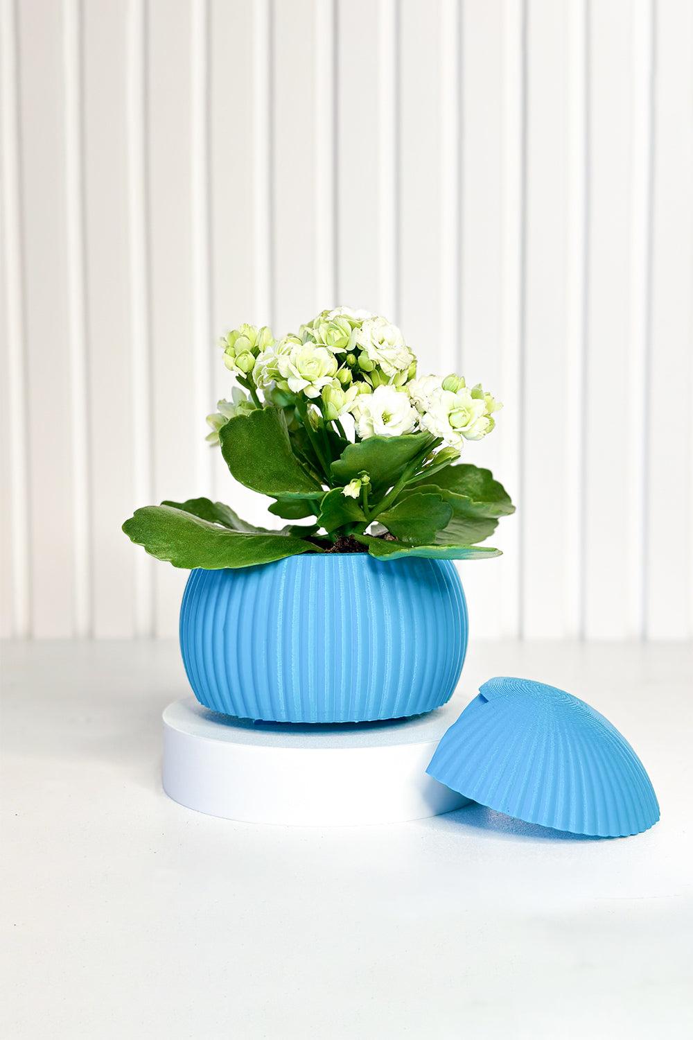 Hue Nest Mini Duvar Saksısı-Saksı-Tou Workshop-mavi-NowShopFun