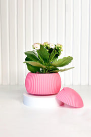 Hue Nest Mini Duvar Saksısı-Saksı-Tou Workshop-pembe-NowShopFun