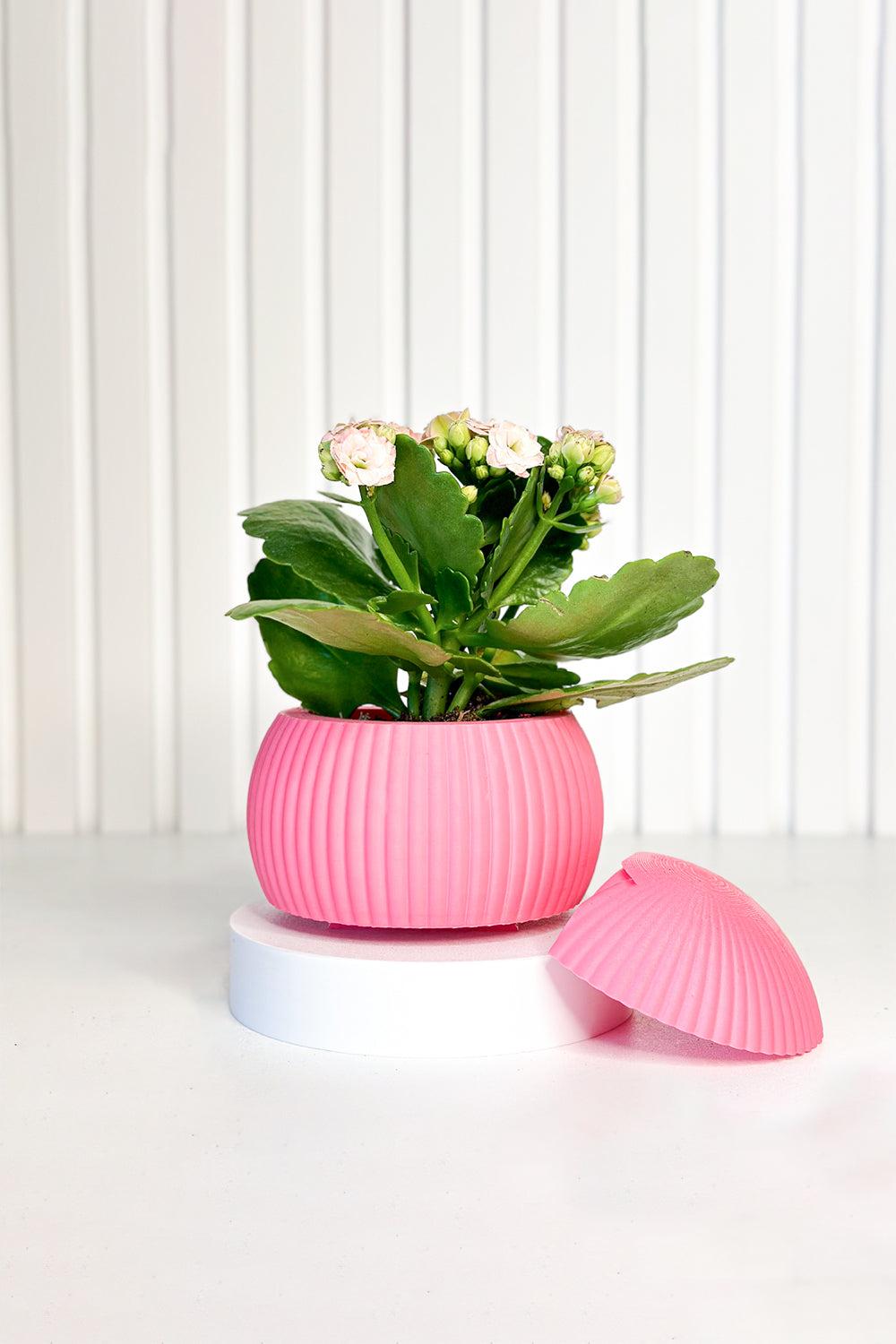 Hue Nest Mini Duvar Saksısı-Saksı-Tou Workshop-pembe-NowShopFun